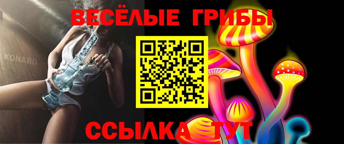 Галлюциногенные грибы MAGIC MUSHROOMS  Вход с VPN  Канаш 