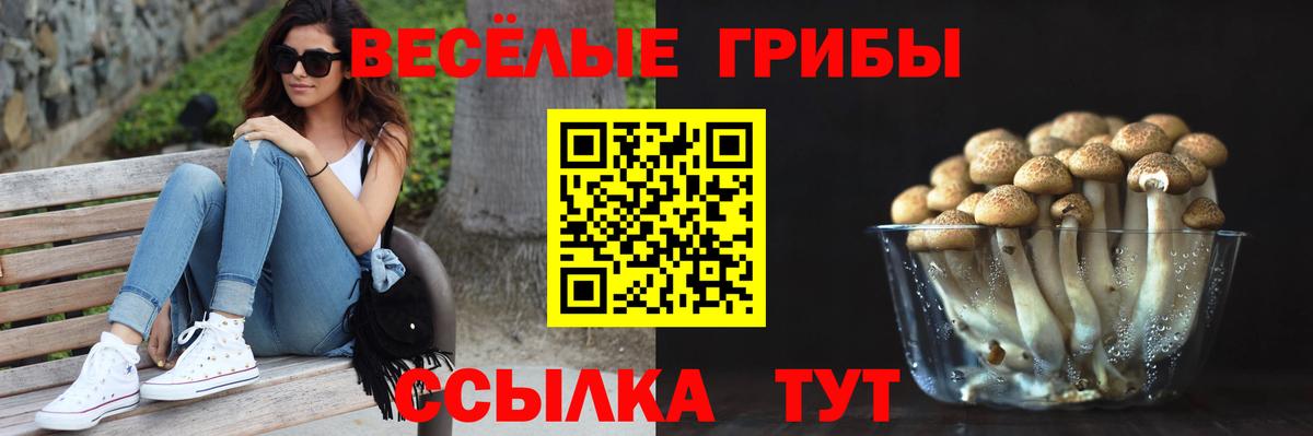 Псилоцибиновые грибы мухоморы Канаш