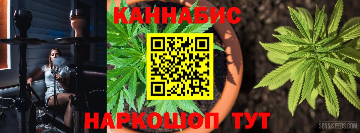Бошки Шишки тримм Канаш